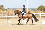 SBM_017333