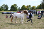 WJ6_6564