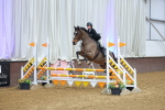 SBM_009516
