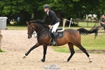 Cls 6 British Novice and 90cm Open portfolio