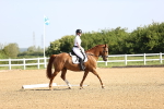 SBM_007449