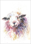 Herdwick Sheep Limited Edition Print 436