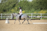 SBM_009735