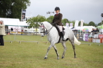 Class 95-96 - LIHS BSHA Rising Star Hack Riding Horse portfolio