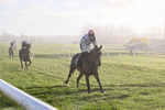 281224-Race 2-Kdeux Saint Fray-4158