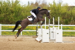 SBM_002844