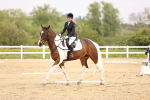 SBM_007328