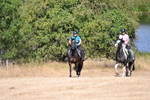 WJ6_8467