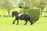 SBM_71924