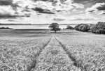 MF1_7084-Edit