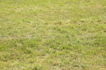 SBM_09736