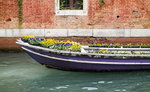 FLOWER BOAT - VENICE