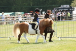 SBM_05408