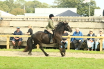 SBM_69362