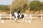 SBM_016767