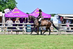 SBM_18209