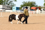 SBM_16614