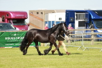 SBM_00870