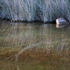 Barragga Bay