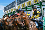 110726-Race 5-Cruden-8111