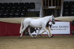 SBM_05027