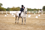 SBM_000991