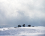 Winter in Wildboarclough (2)