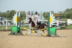 SBM_011551