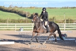 BPP_8036