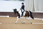 SBM_002983