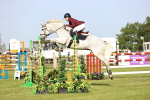 SBM_01291