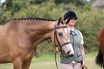 Gwennap Riding Club Showing Show 17.08.2025 portfolio