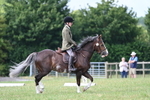WJ7_1906