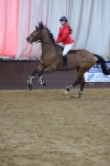 SBM_005002