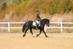 SBM_010479