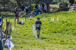The Finish-2060