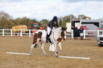 SBM_002675