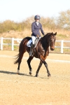 SBM_003496