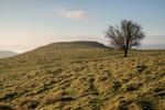 4668 Lan Fawr
