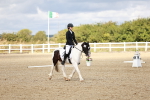 SBM_010688