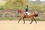 SBM_001964