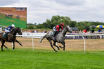 170826-Race 1-Stellarmasterpiece-8846