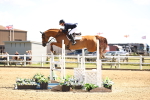 SBM_004339