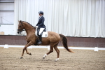 SBM_000222