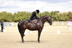 SBM_004937