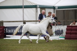 SBM_09776