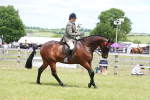 SBM_15919