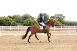SBM_005205