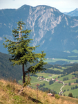 Mittermooser Joch  10