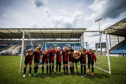 Grass Roots portfolio